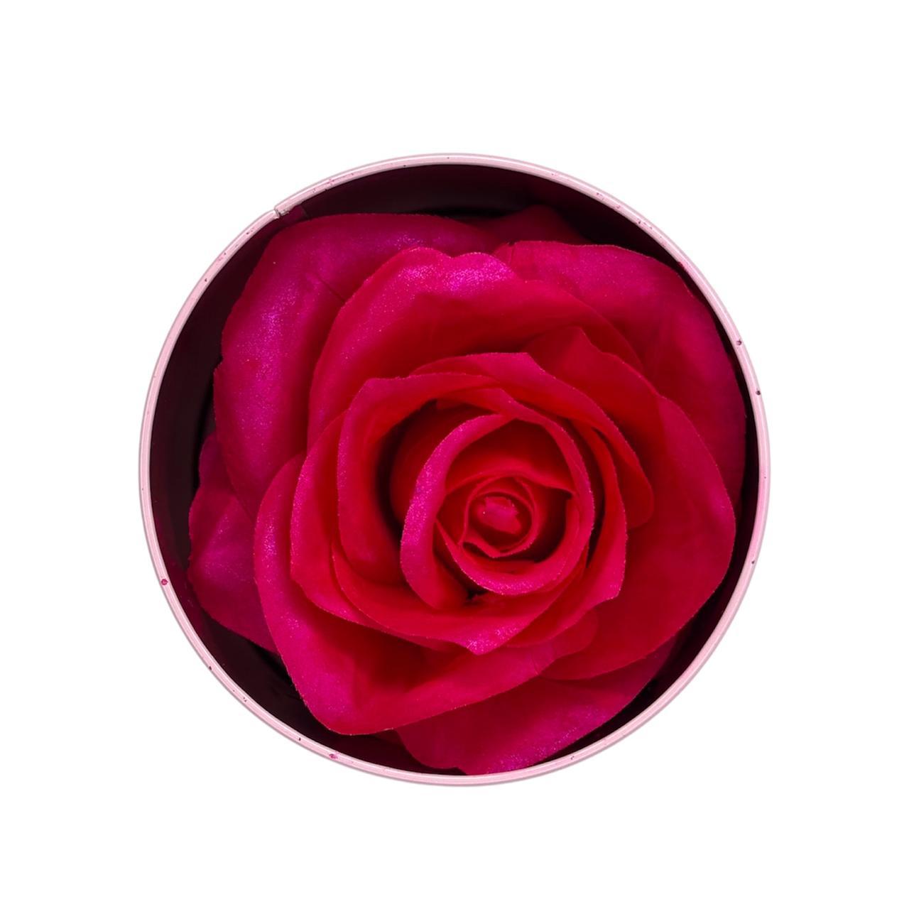 Mistery Professional Rose Blusher